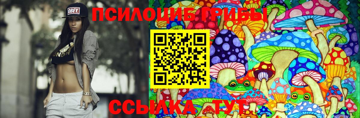 Псилоцибиновые грибы мухоморы  Вход с VPN  Камень-на-Оби 