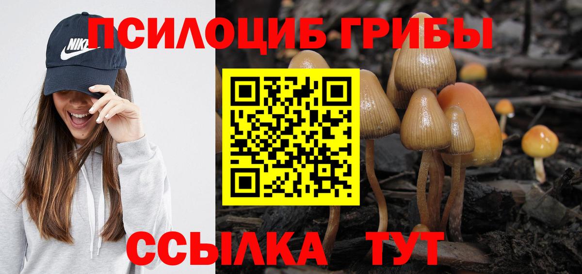 Псилоцибиновые грибы прущие грибы Камень-на-Оби